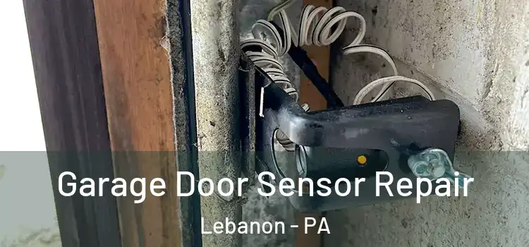 Garage Door Sensor Repair Lebanon - PA